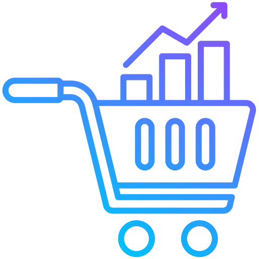 طراحی سایت حرفه ای فروشگاهی توسط DnzWebs